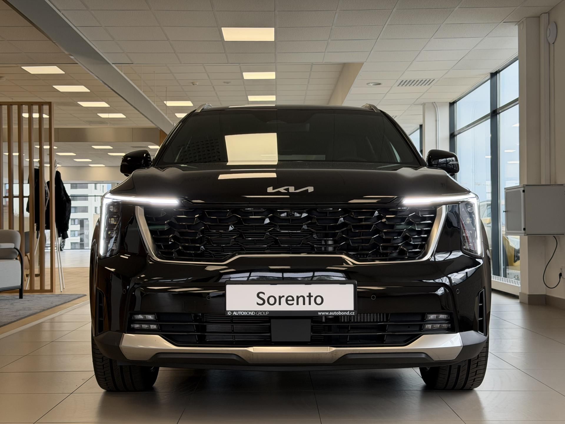 Kia Sorento, 7P TOP 2,2 CRDi 4×4 8DCT NAPPA - fotka 3