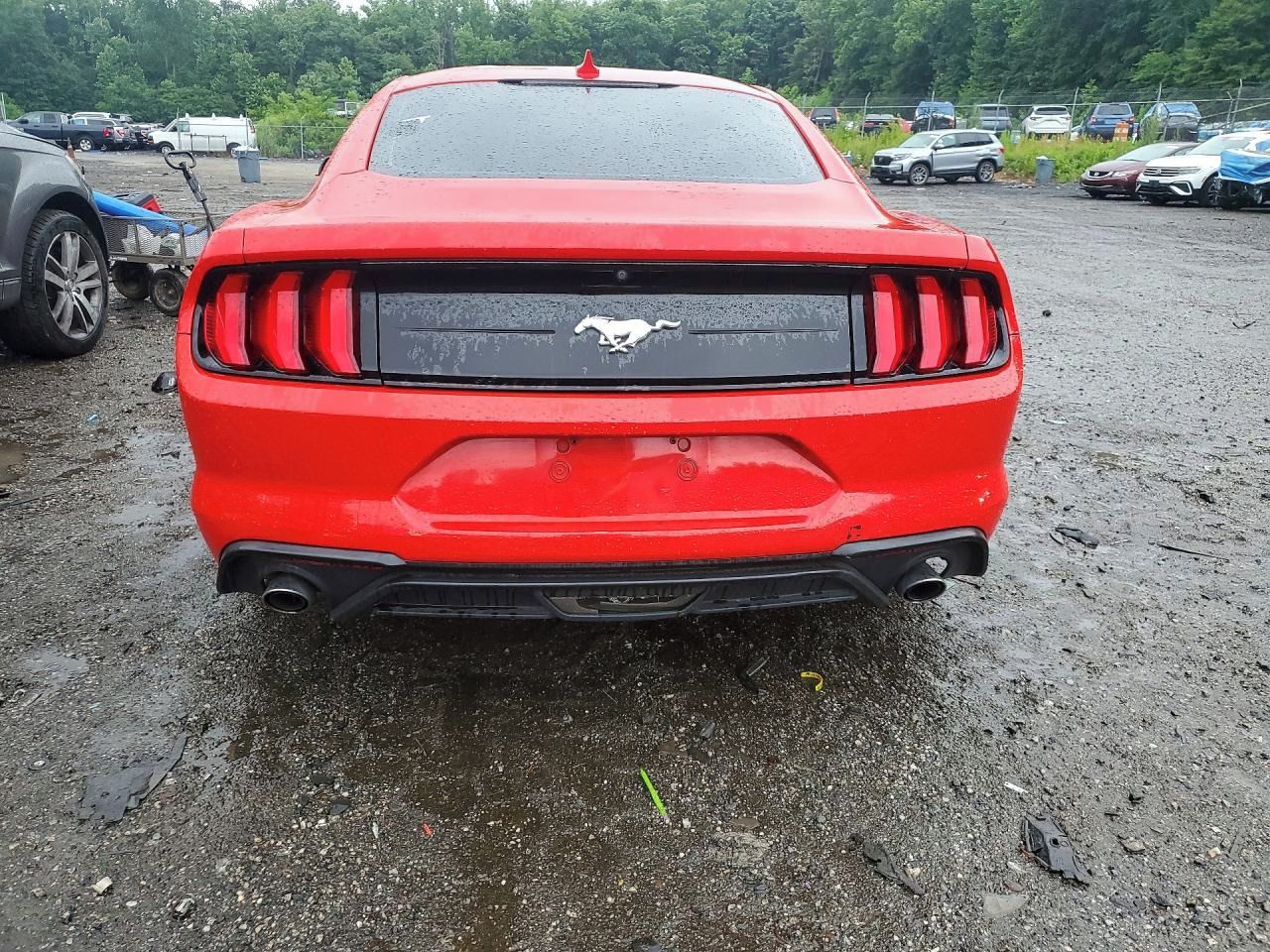 Ford Mustang, Auto na cestě - fotka 6