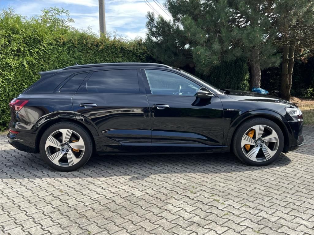 Audi e-tron, 50 Quattro Proline Limited - fotka 6