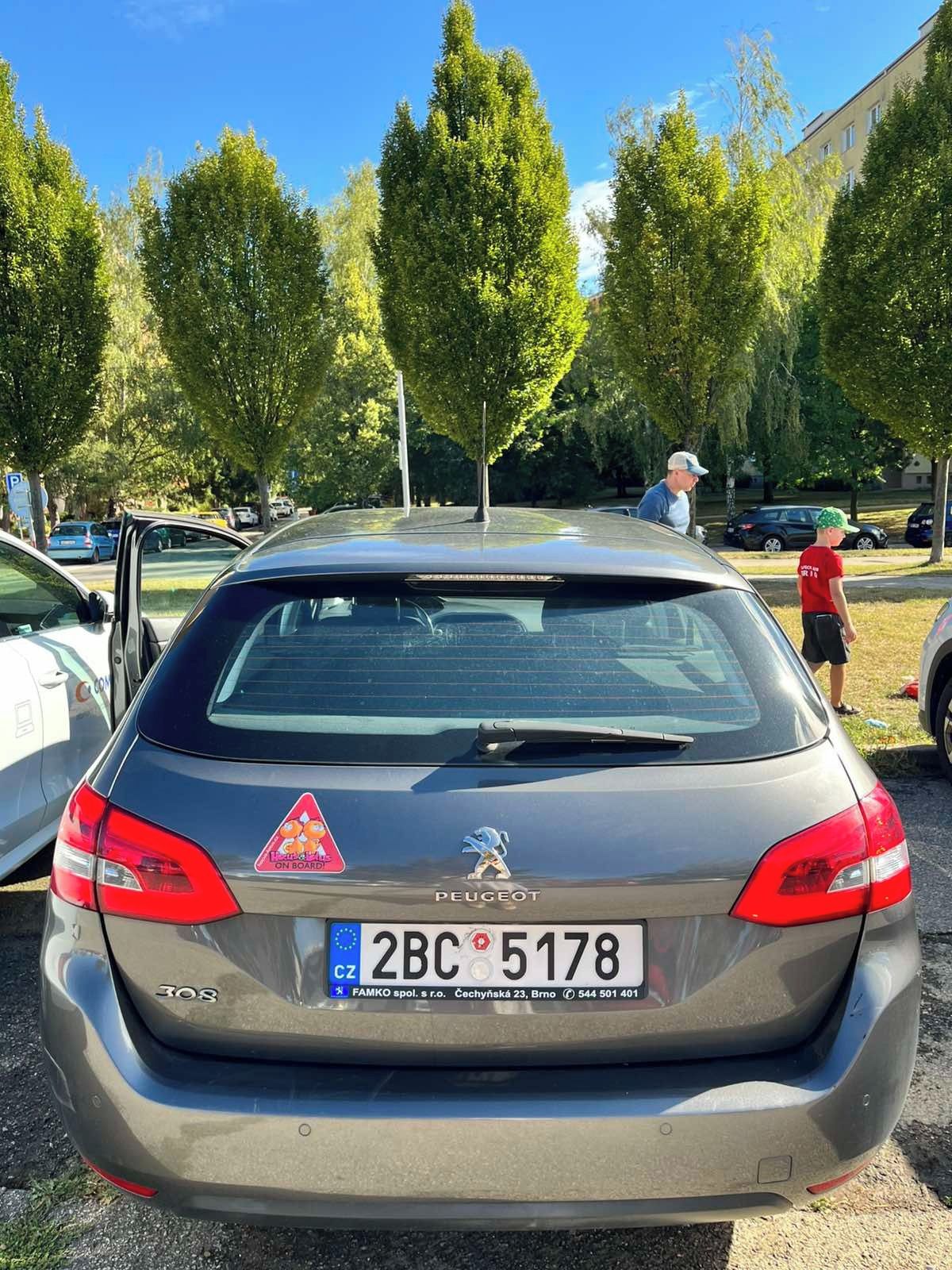 Peugeot 308, Pravidelně- servisováno - fotka 2
