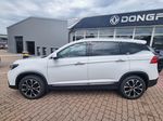 Dongfeng T5, FORTHING T5 Exclusive