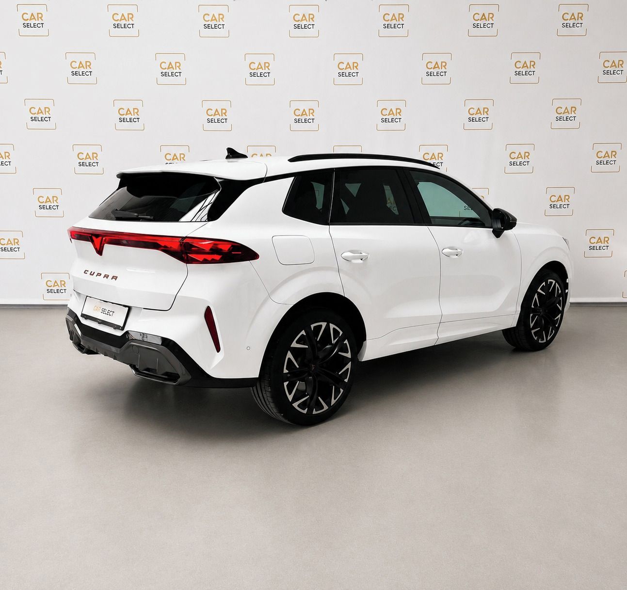 Cupra Terramar, VZ 2.0TSI 5let.záruka/Pan/Taž. - fotka 3