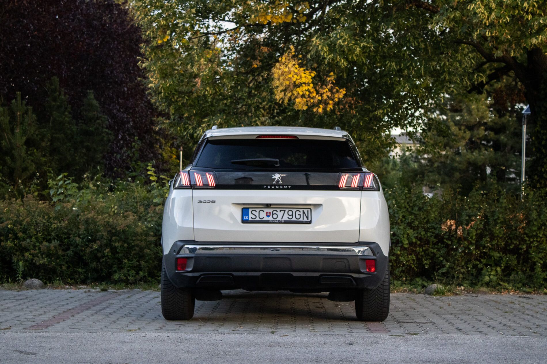 Peugeot 3008 - fotka 6