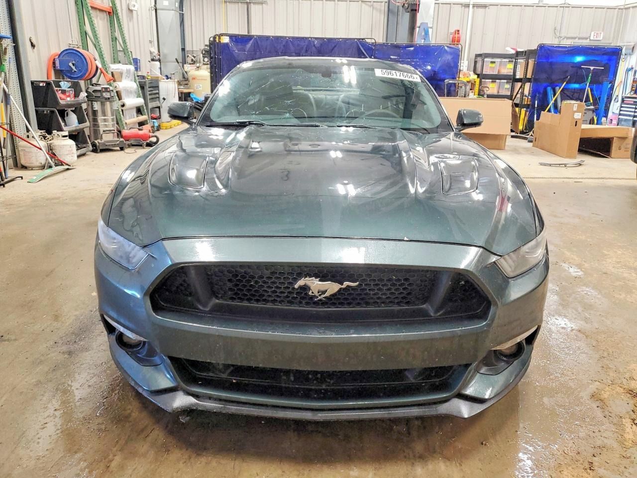 Ford Mustang, Auto na cestě - fotka 5