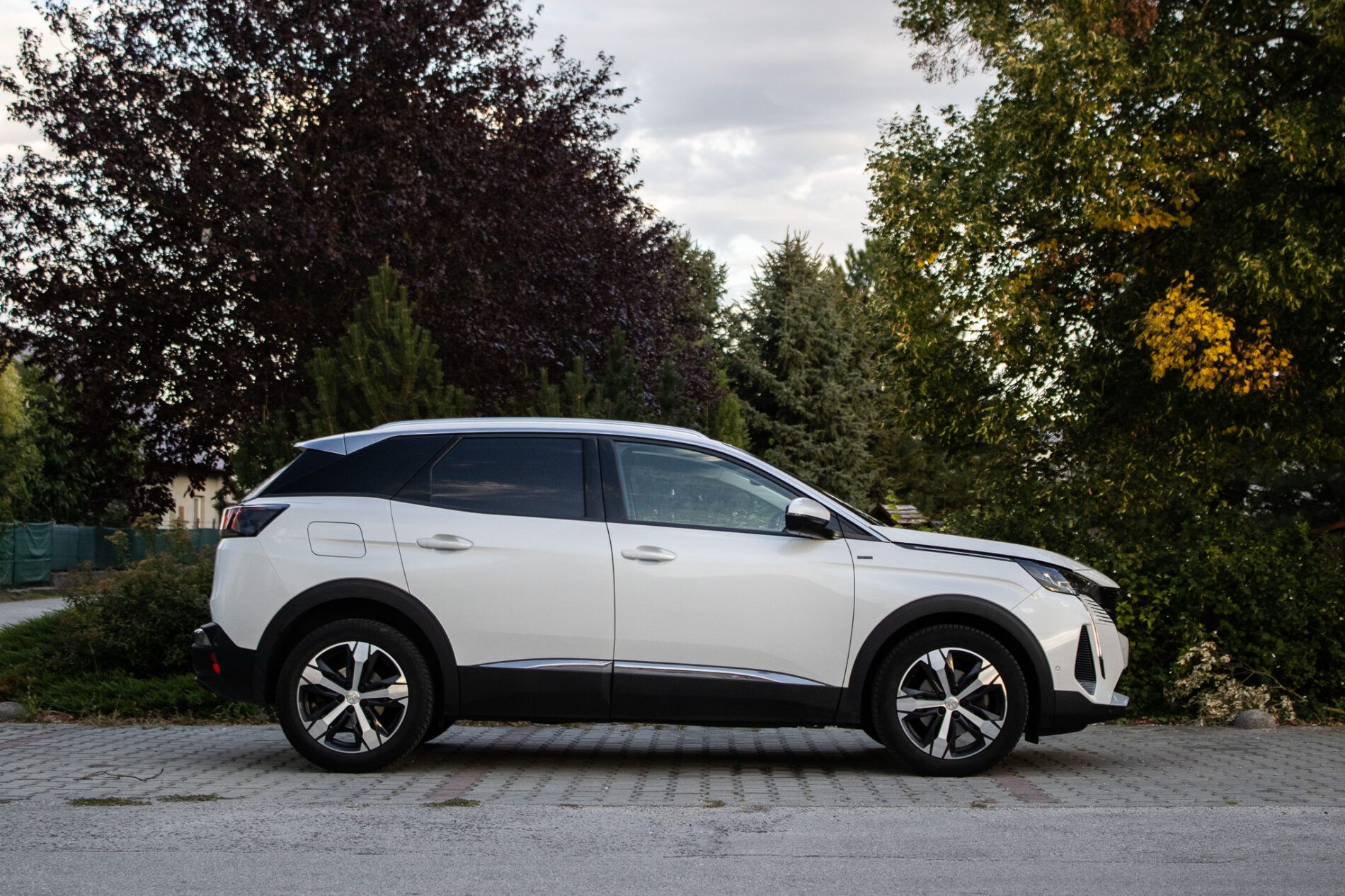 Peugeot 3008 - fotka 4