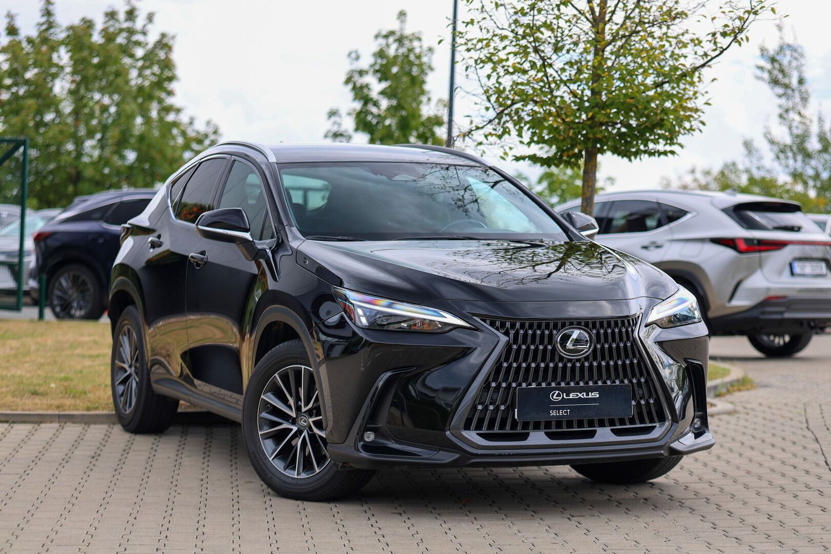 Lexus NX 350h, 350h 2,5 HEV COMFORT PLUS - fotka 2