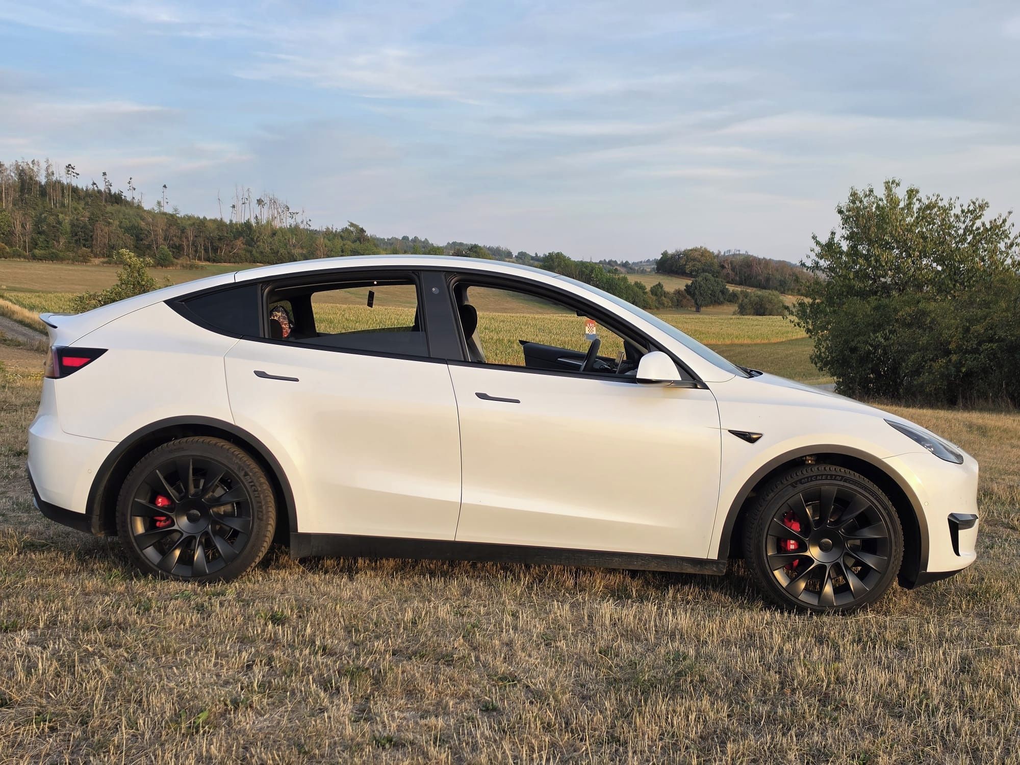 Tesla Model Y, LR_AWD/91%/Tažné/Perf look - fotka 6