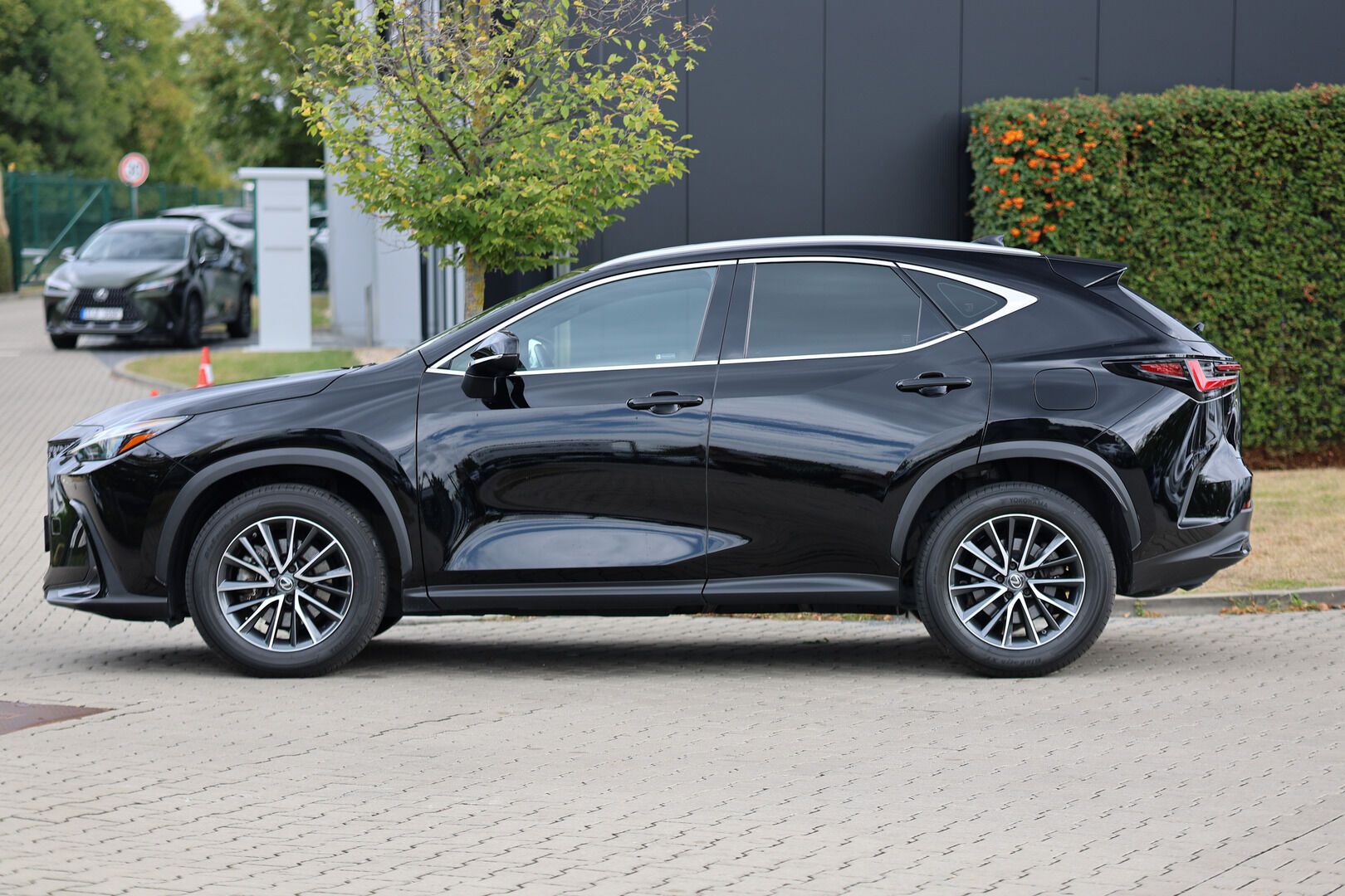 Lexus NX 350h, 350h 2,5 HEV COMFORT PLUS - fotka 3