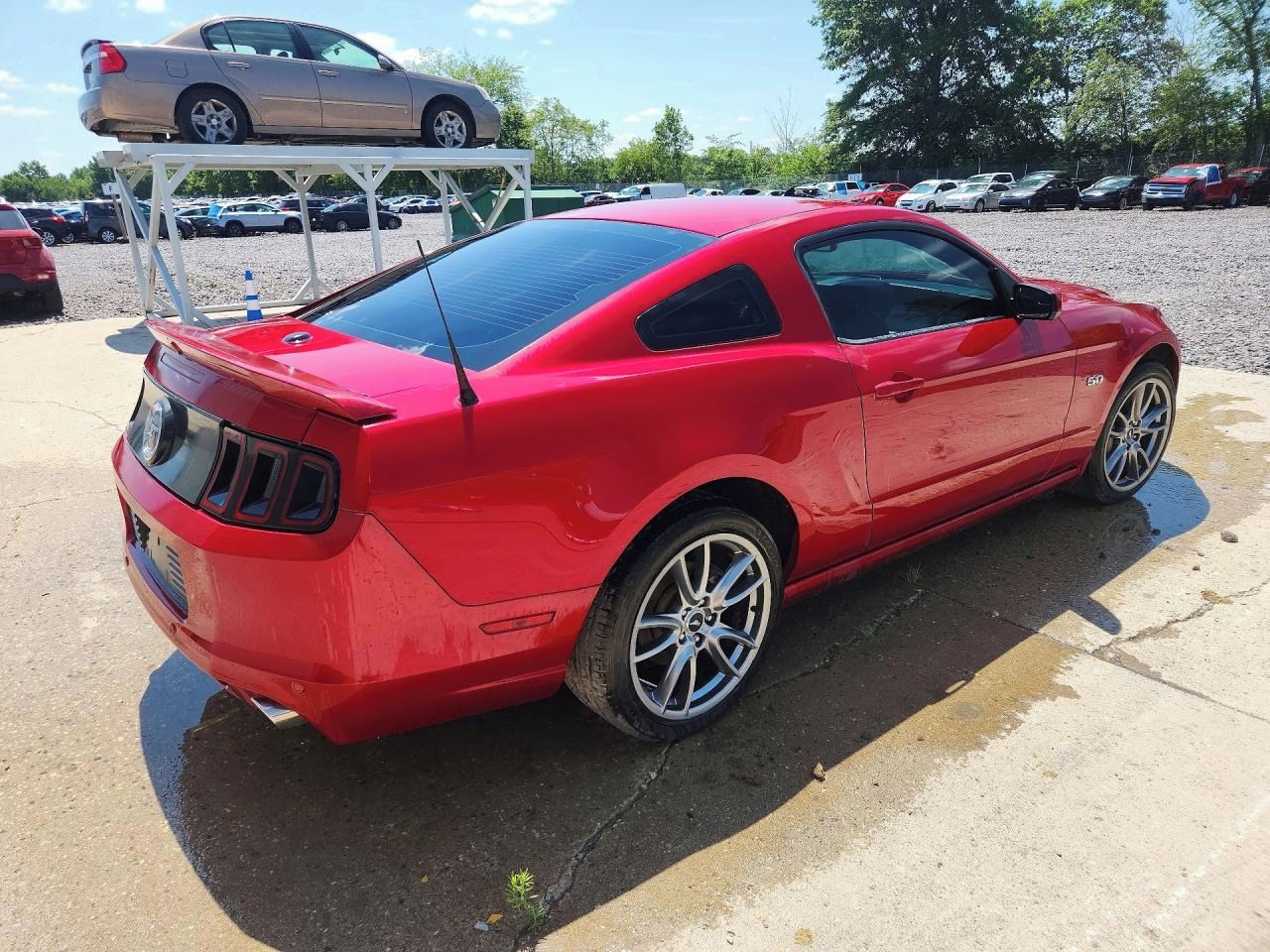 Ford Mustang, Auto na cestě - fotka 4
