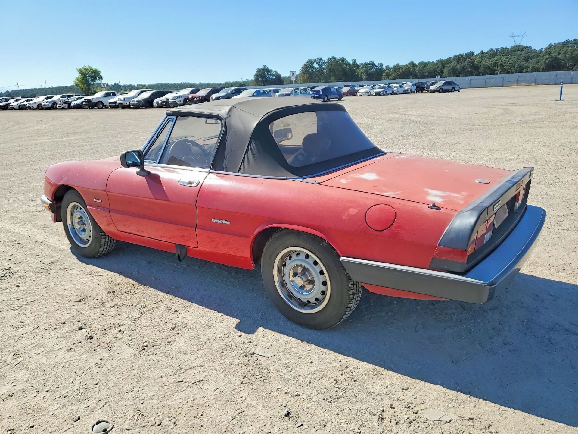 Alfa Romeo Spider, Auto na cestě - fotka 3