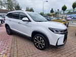 Dongfeng T5, FORTHING T5 Exclusive