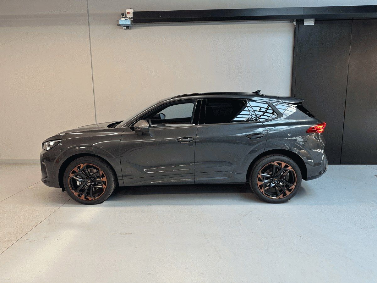 Cupra Terramar, 2.0 TSI 204k DSG 4WD *DCC*INT. - fotka 3