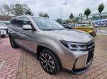 Dongfeng T5, FORTHING T5 Exclusive