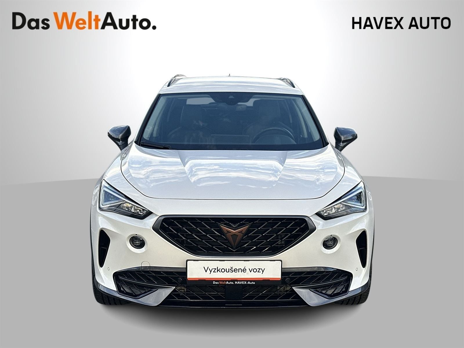 Cupra Formentor, 1.5 TSI DSG - fotka 4