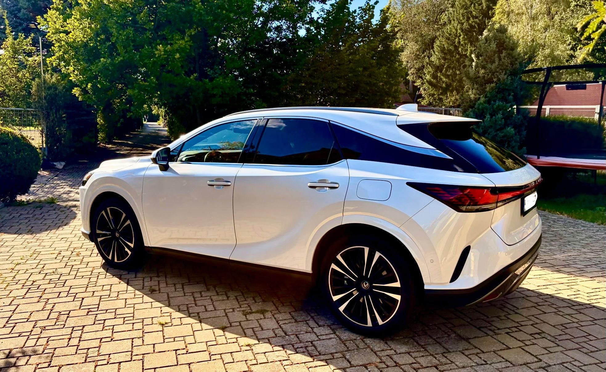Lexus RX 450h+, Plug-in, Luxury Panoramic - fotka 4