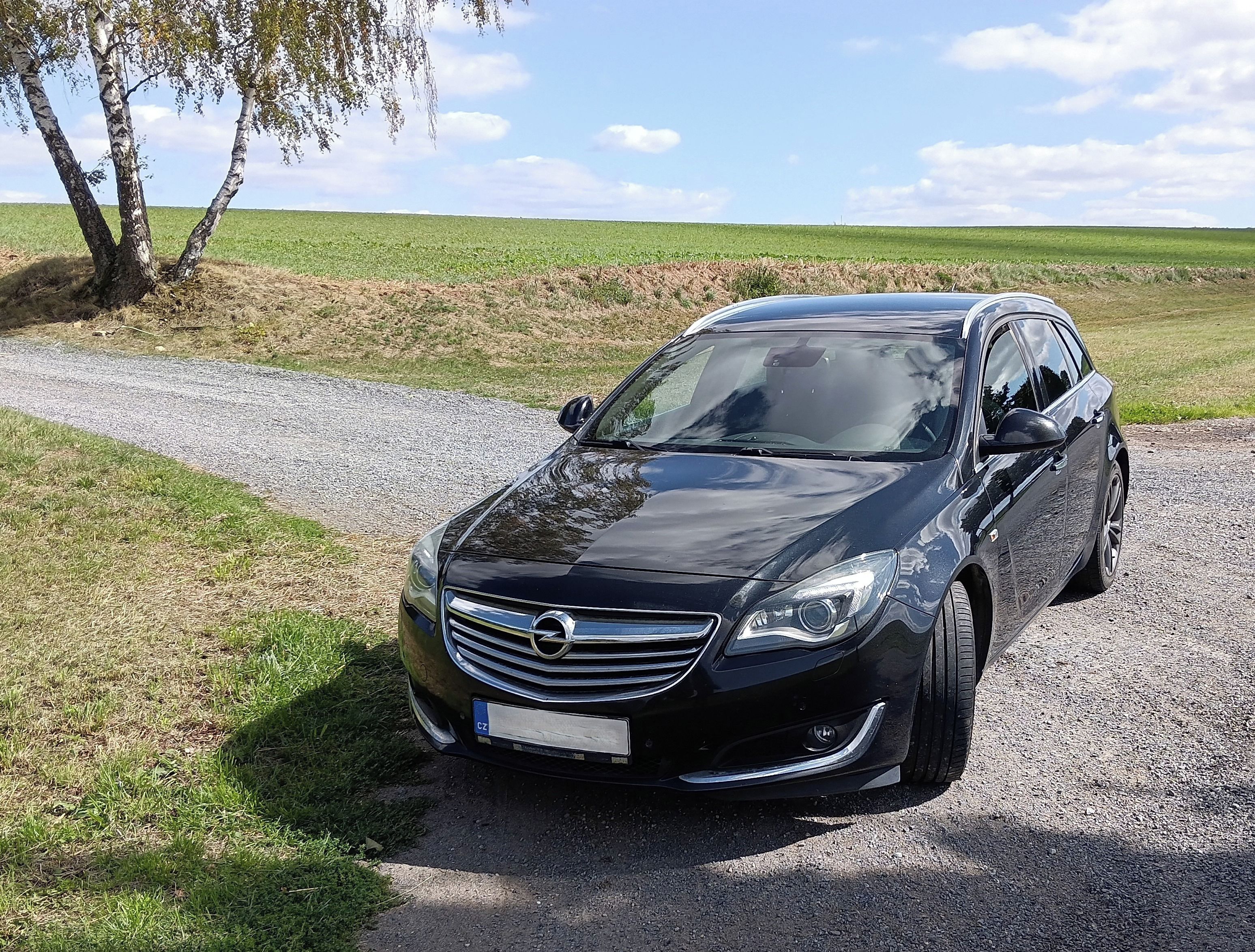Opel Insignia, Opel Insignia Sports Tourer