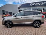 Dongfeng T5, FORTHING T5 Exclusive