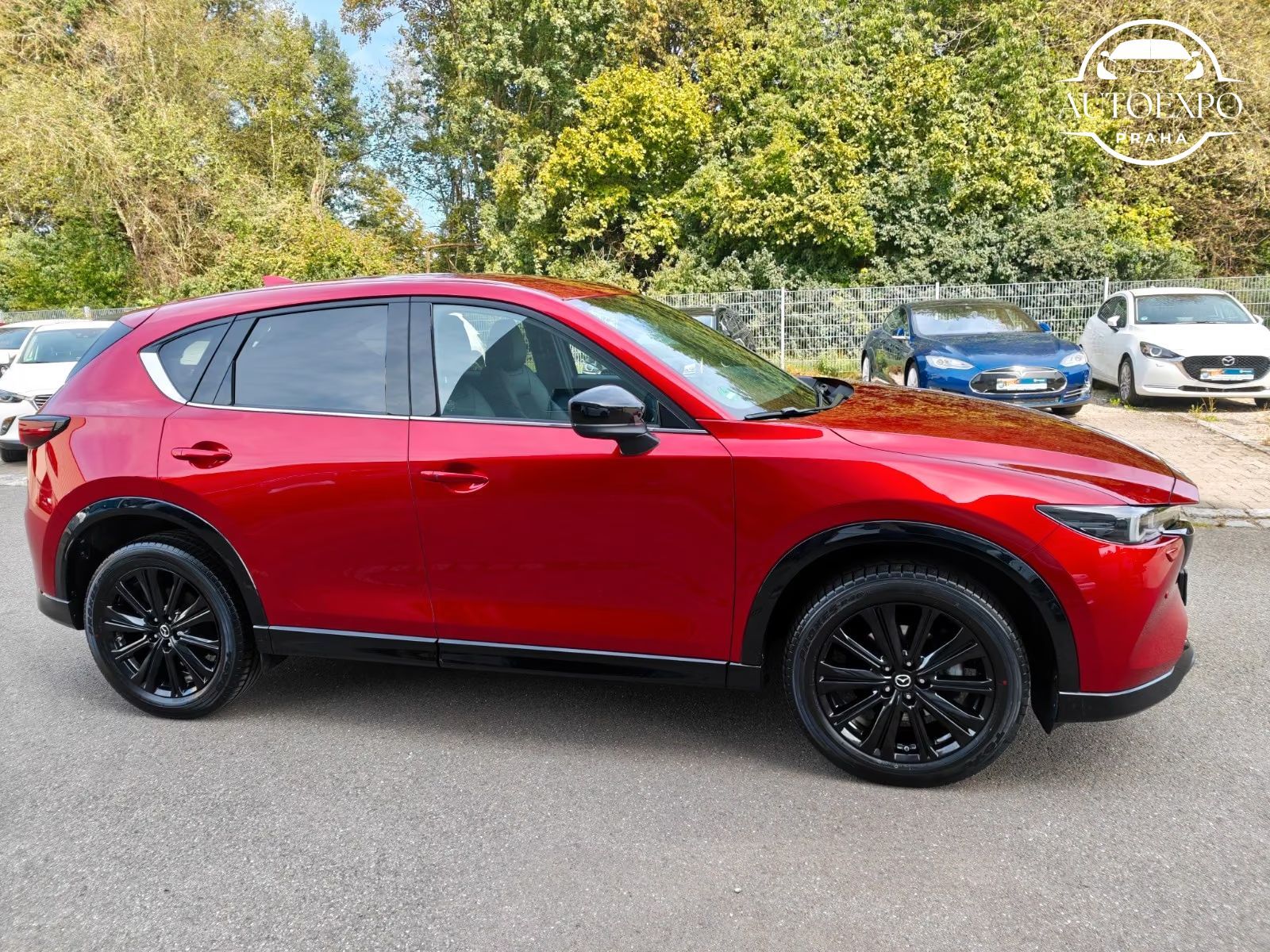 Mazda CX-5, Homura AWD*BOSE*KŮŽE - fotka 4