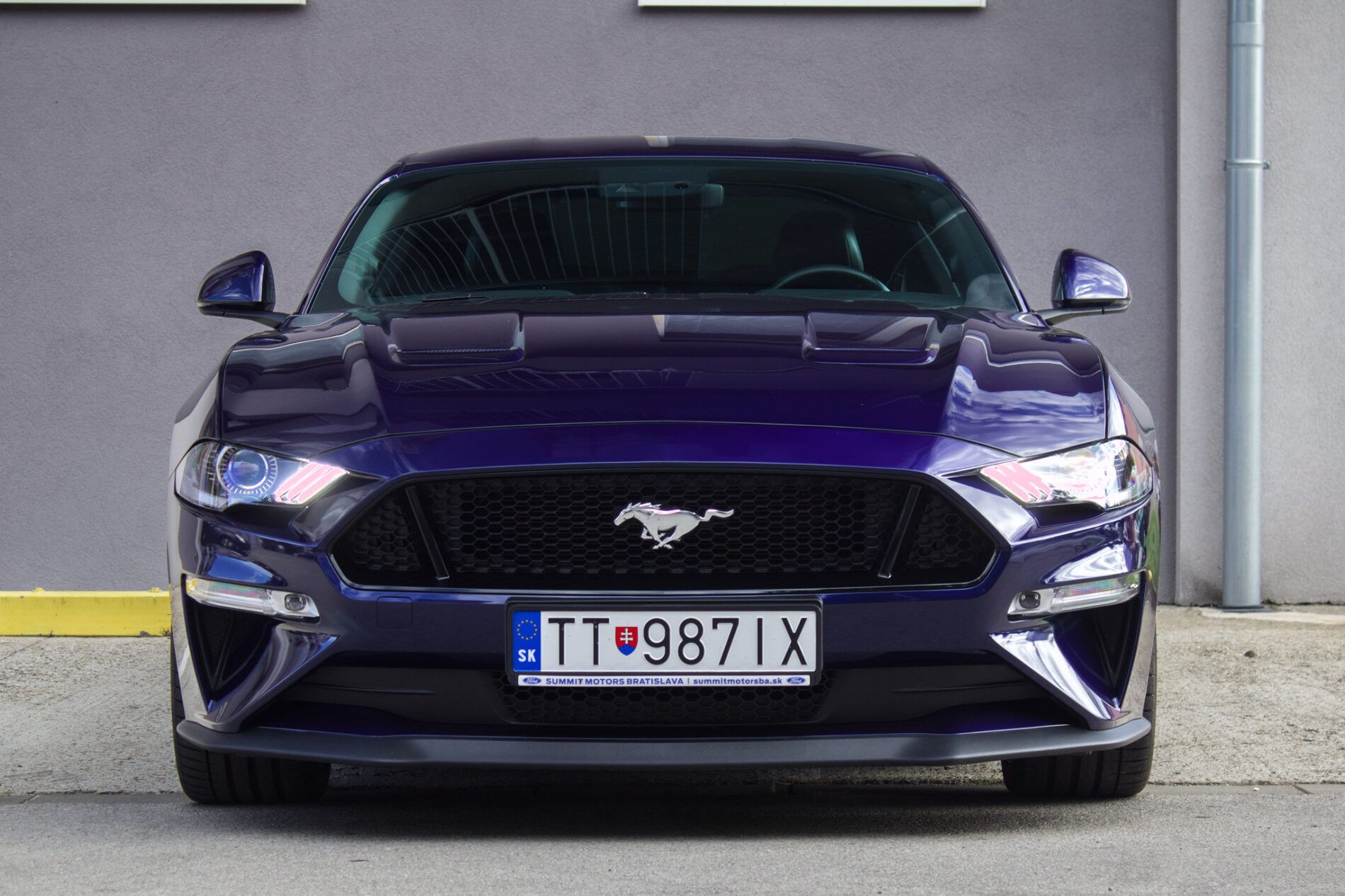 Ford Mustang - fotka 2