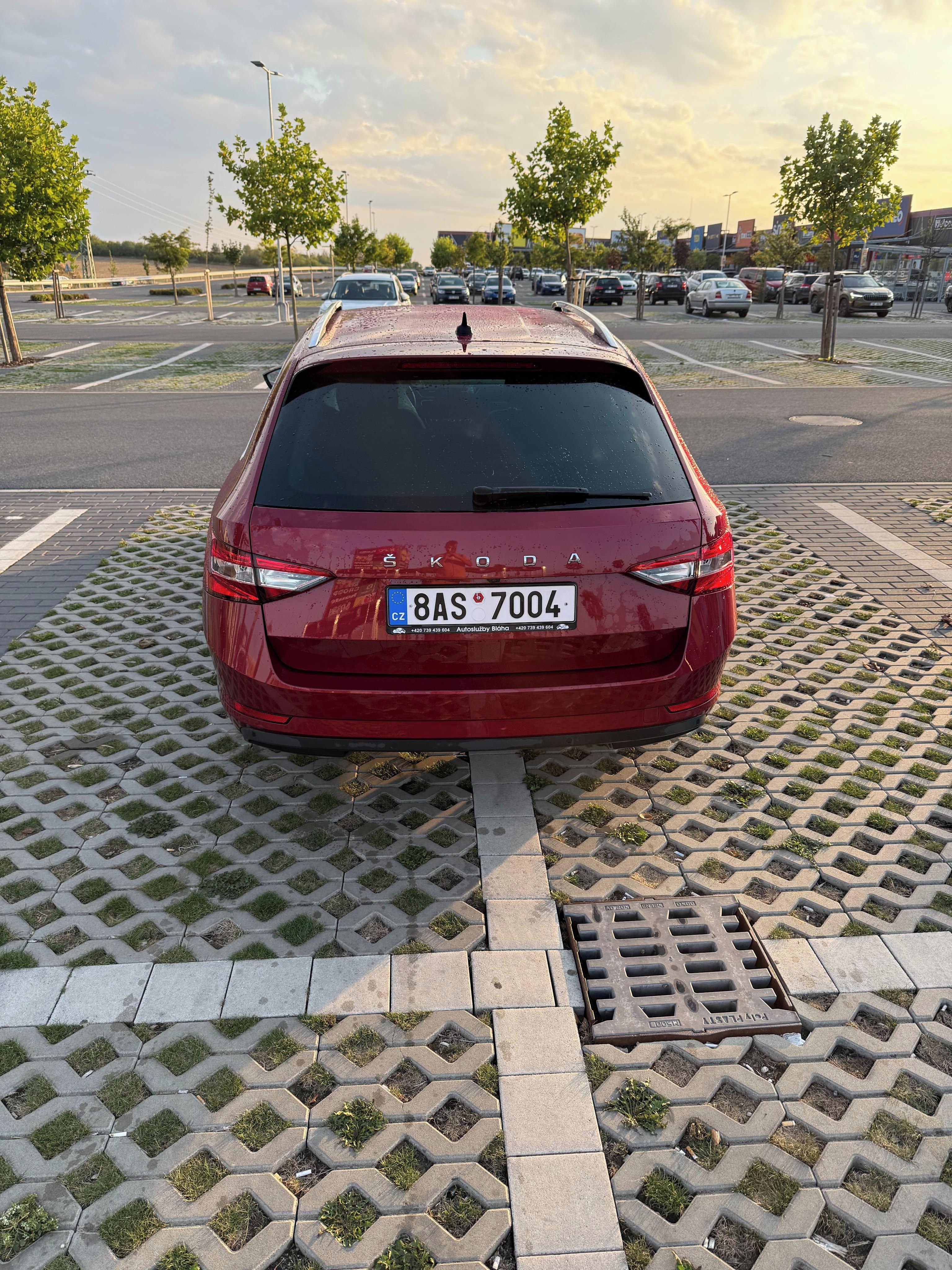 Škoda Superb, škoda superb 4X4 - fotka 6