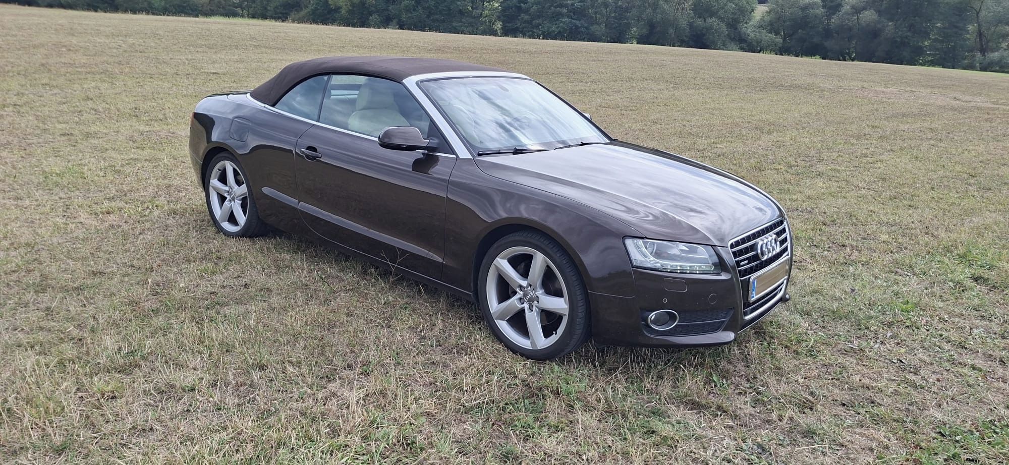 Audi A5, Audi A5 cabrio 3.0 TDI quattro - fotka 2