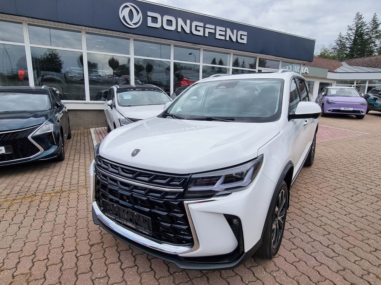 Dongfeng T5, FORTHING T5 Exclusive