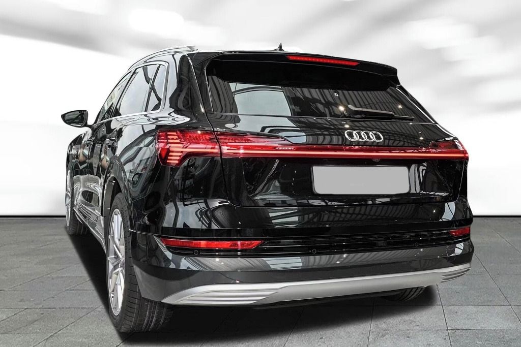 Audi e-tron, 50 quattro advanced*Kůže/Navi* - fotka 2