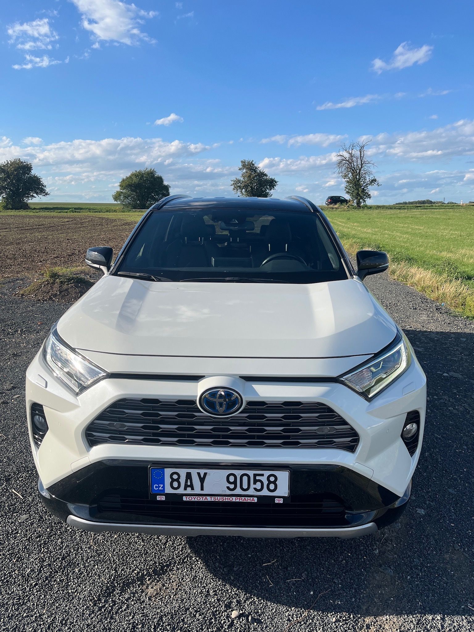 Toyota Rav4, Toyota RAV4 2.5 Hybrid 4x4
