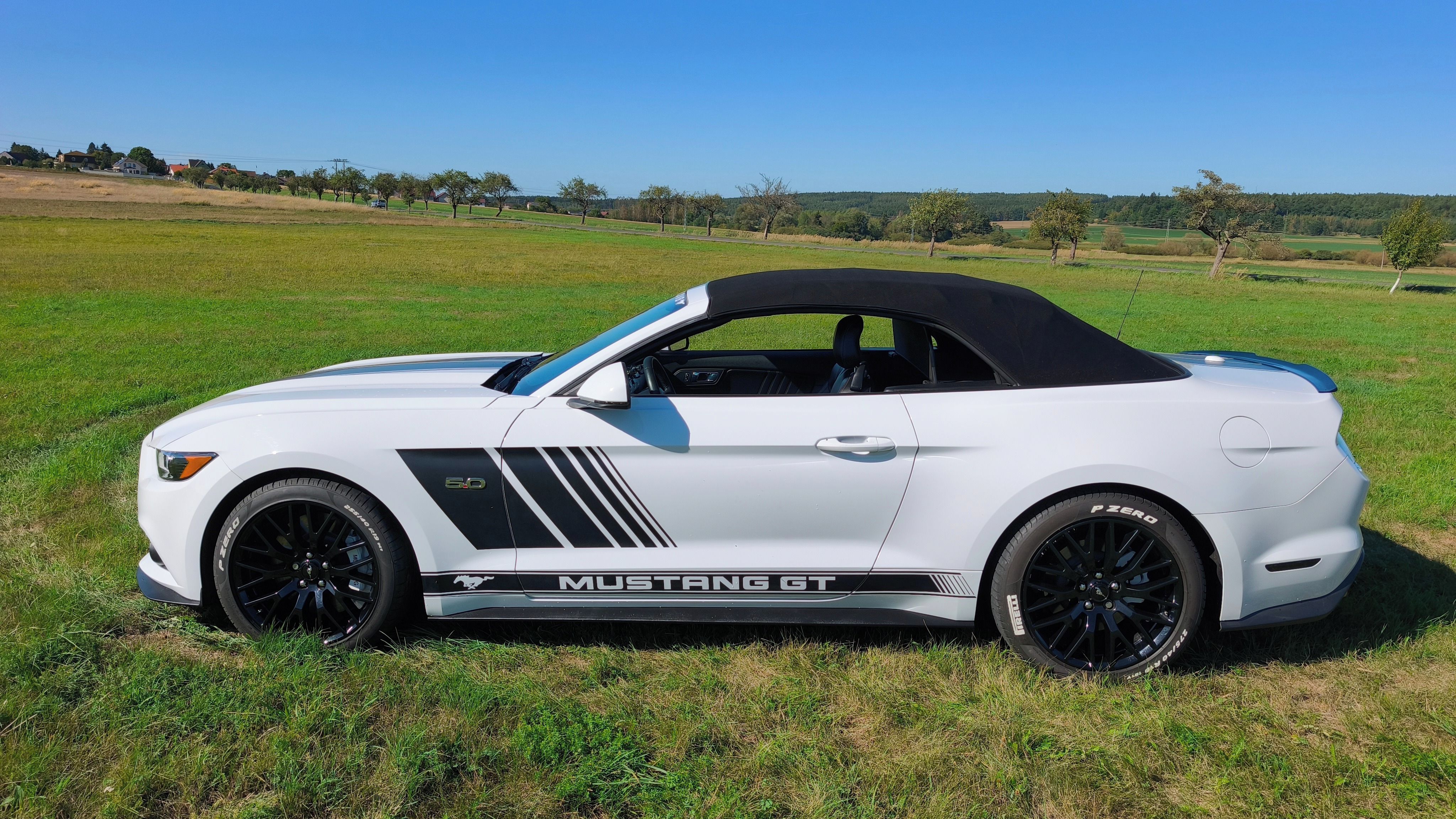 Ford Mustang, 5.0V8 - fotka 3