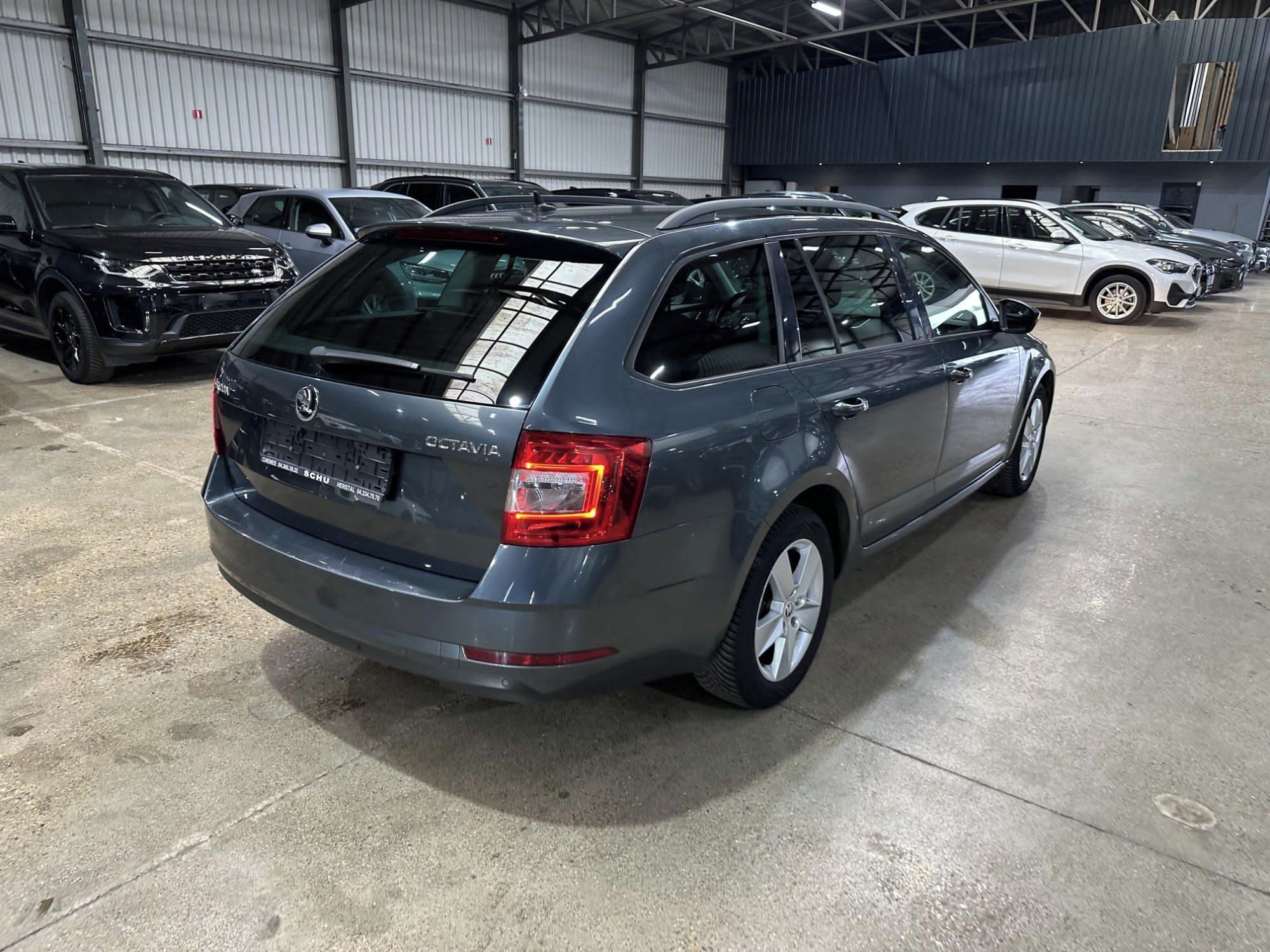 Škoda Octavia, Škoda Octavia 1.6 tdi - fotka 4