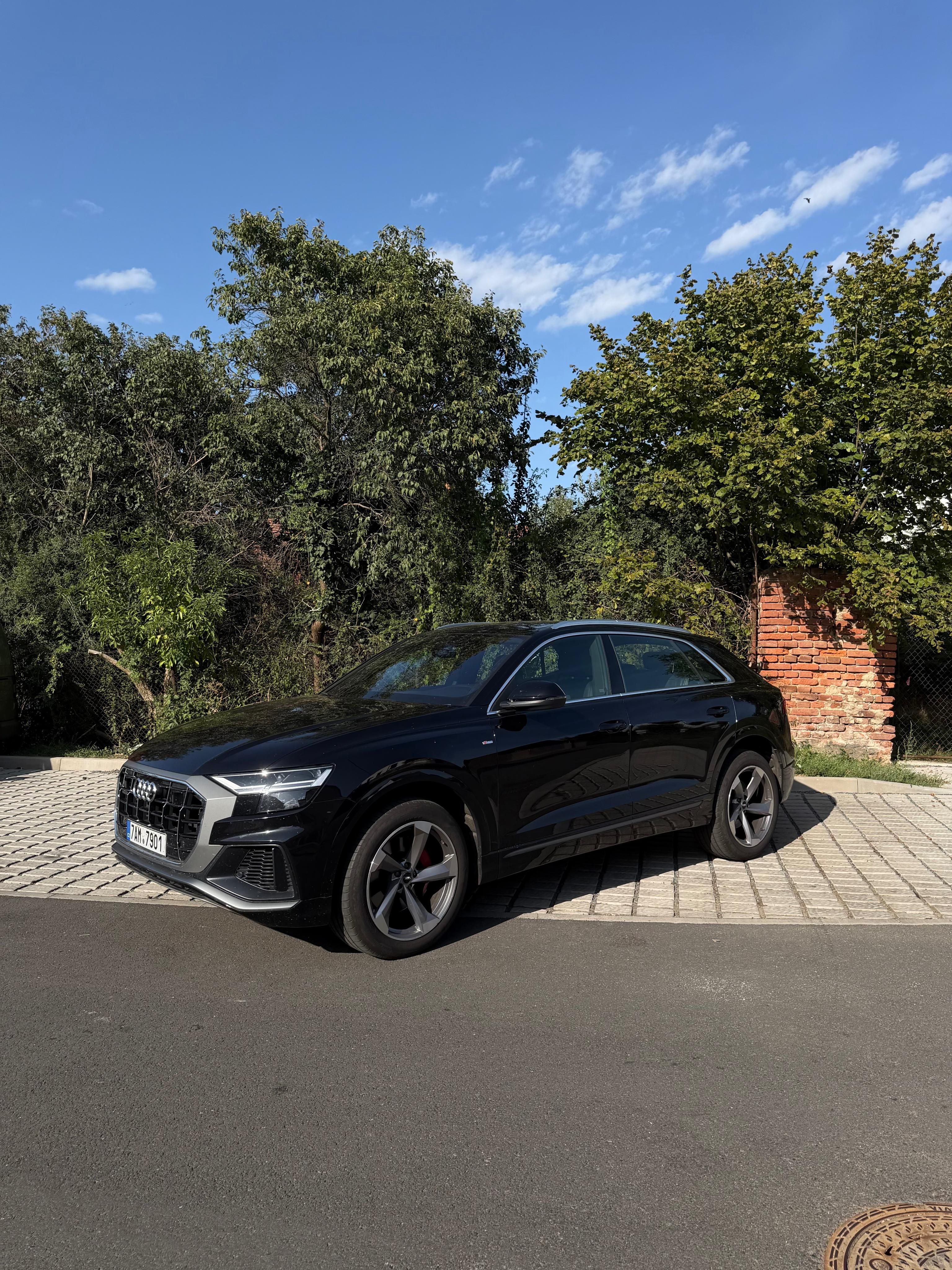 Audi Q8, 50 TDI 210 kW S-LINE Quattro - fotka 2