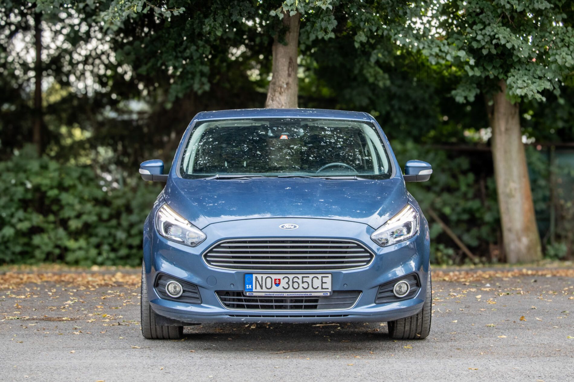 Ford S-MAX - fotka 2