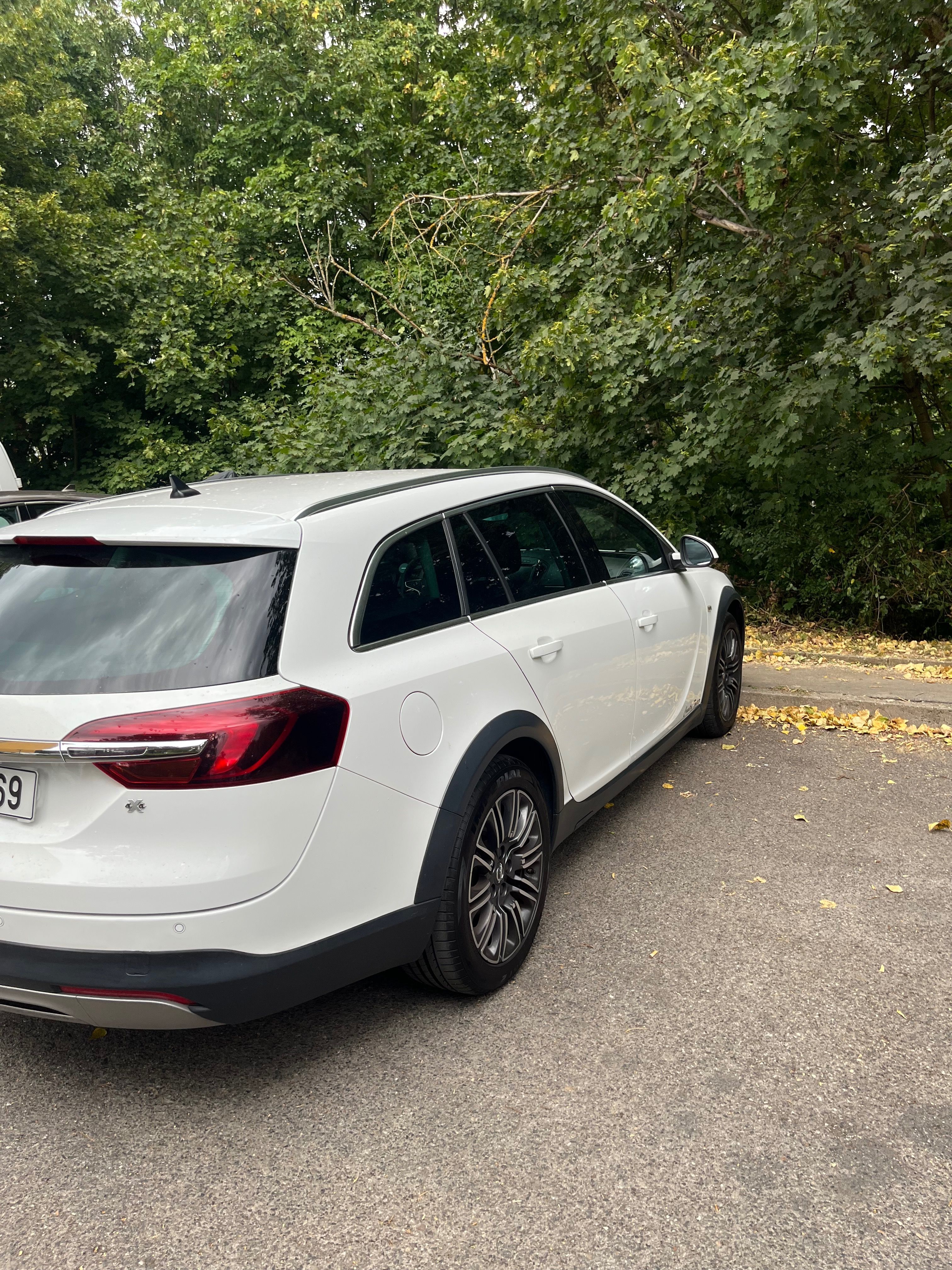 Opel Insignia, Opel insignia 4x4 - fotka 2