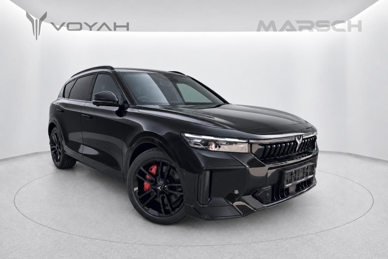 Dongfeng, Voyah Free REV 318