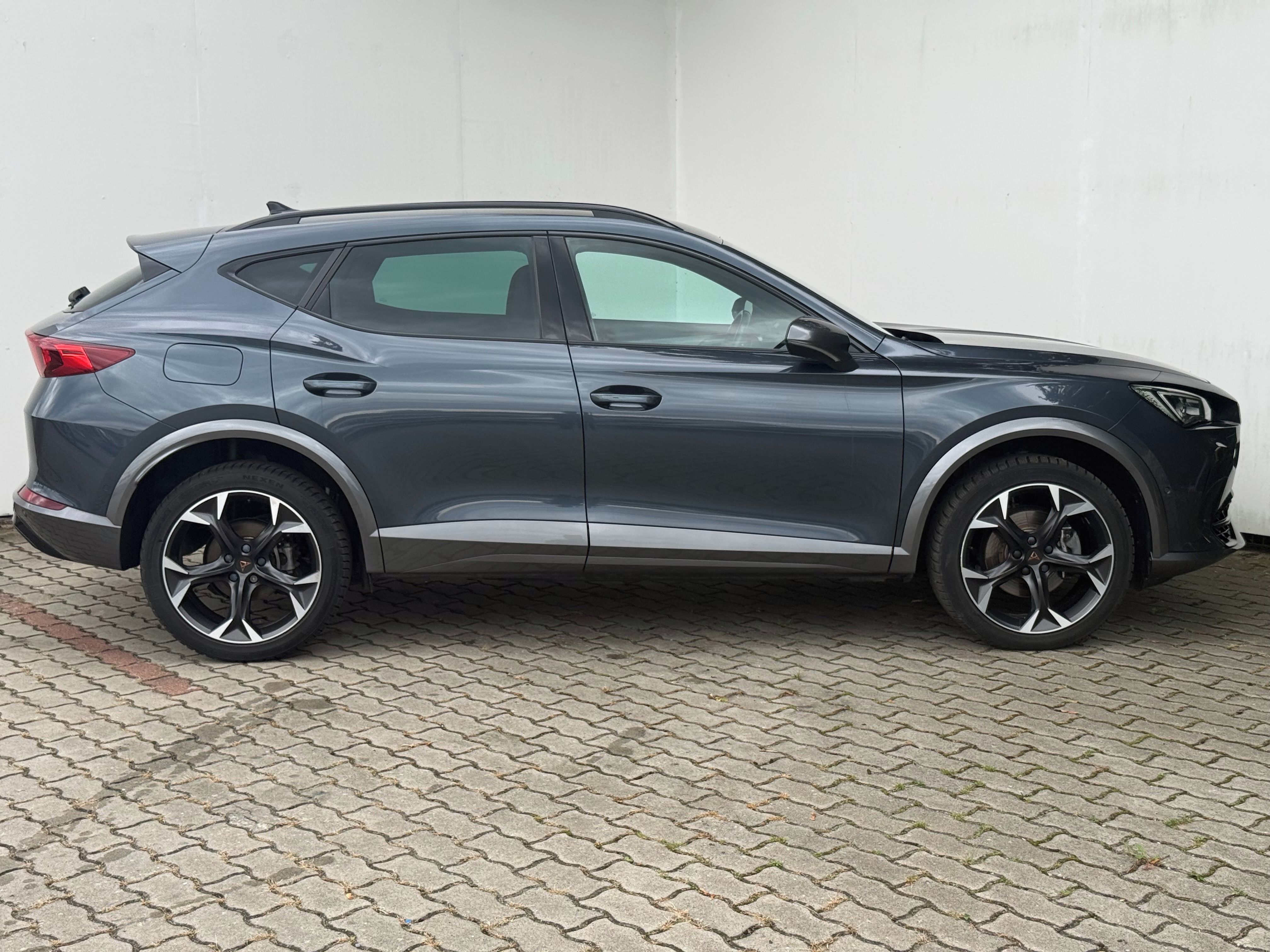 Cupra Formentor, 2,0 TSI / 140 kW 4x4 DSG - fotka 4