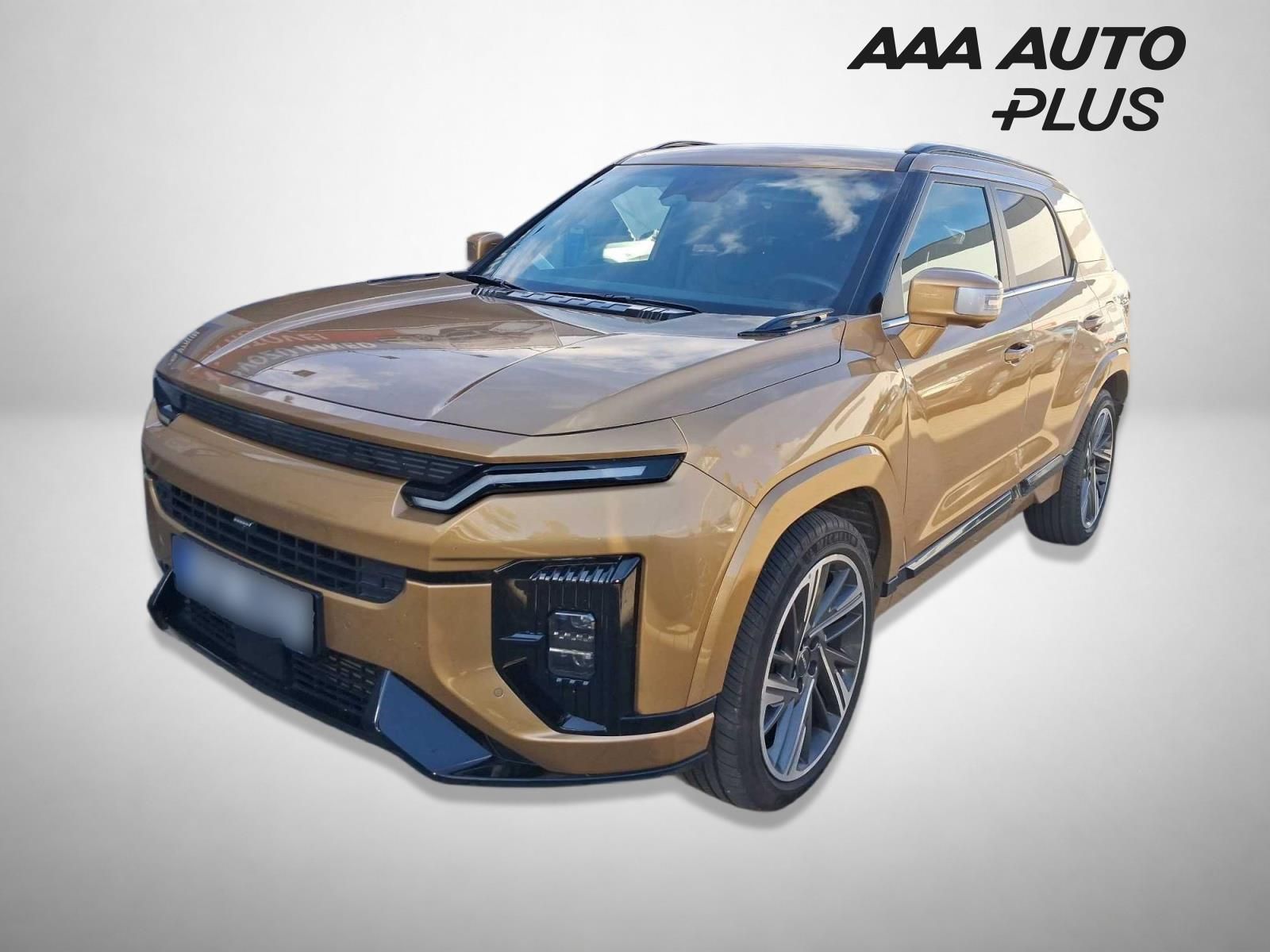 SsangYong Actyon, 2.0 i, Záruka, Automat, ČR
