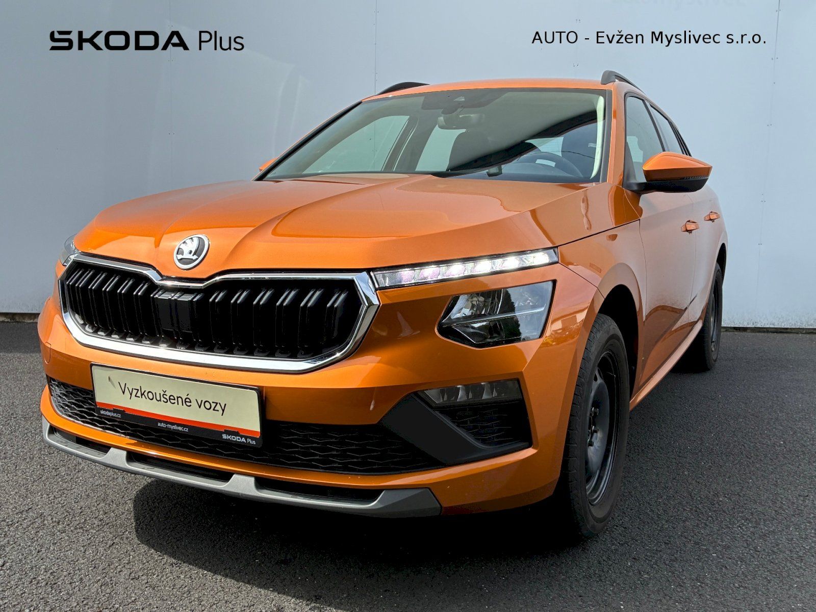Škoda Kamiq, SELECTION TSI 85/1.0 M6F
