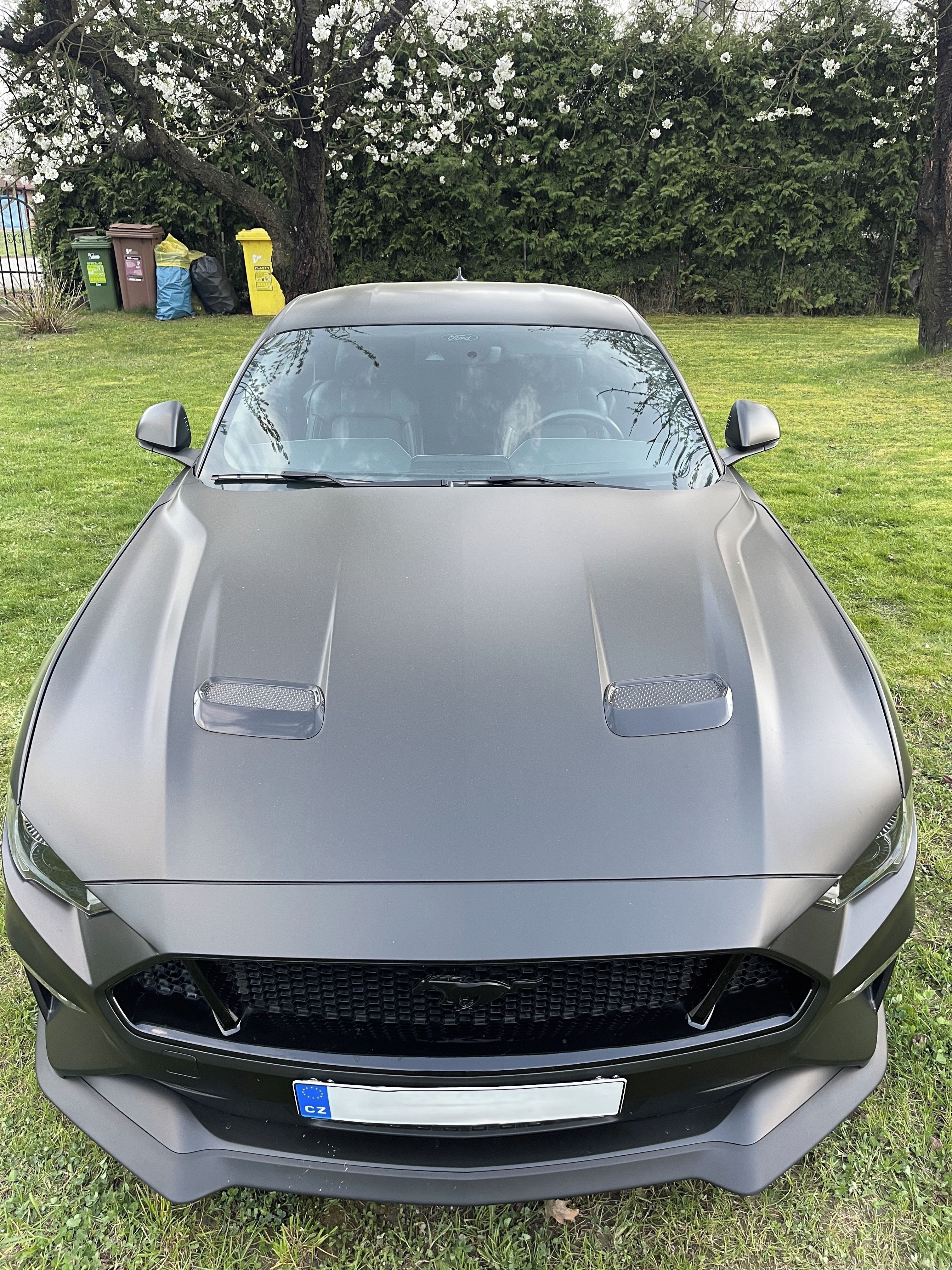 Ford Mustang, 5.0 V8 GT Magneride, EU, DPH - fotka 5
