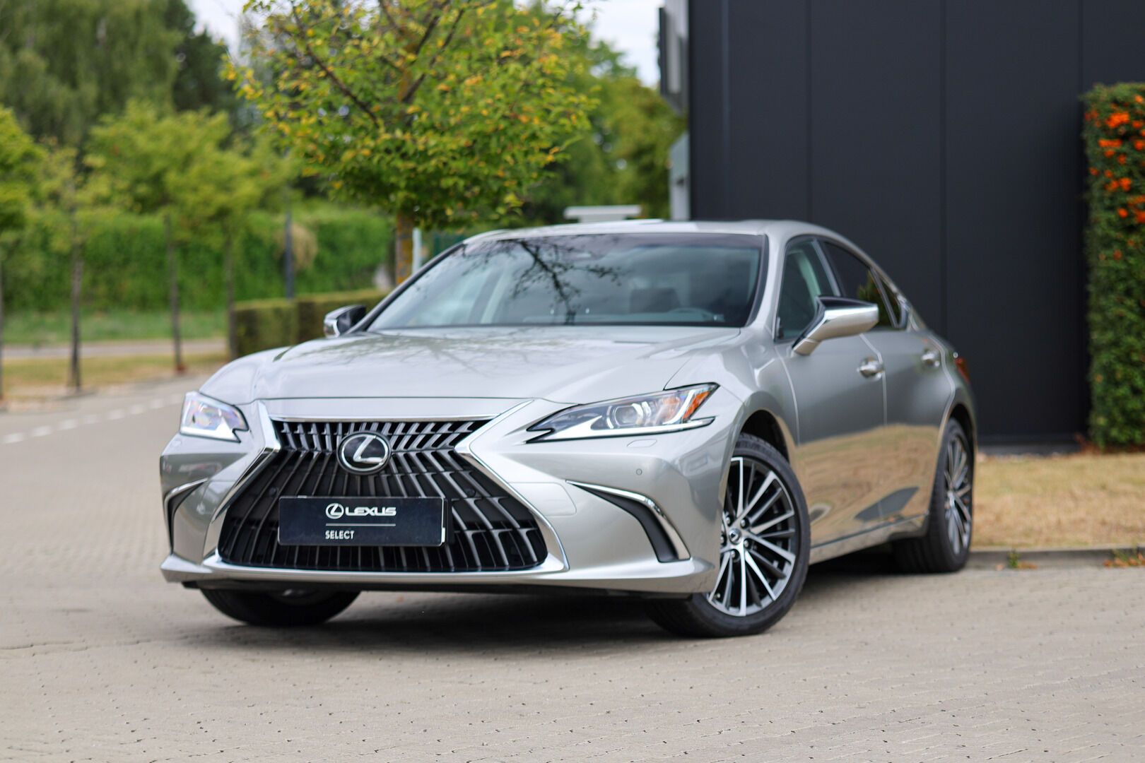 Lexus ES 300h, 300H 2,5 HEV BUSINESS EDITION