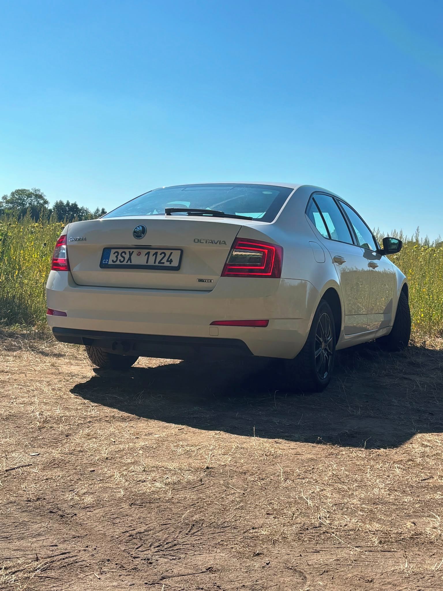 Škoda Octavia, 1,4TSI - nová STK, původ ČR - fotka 6
