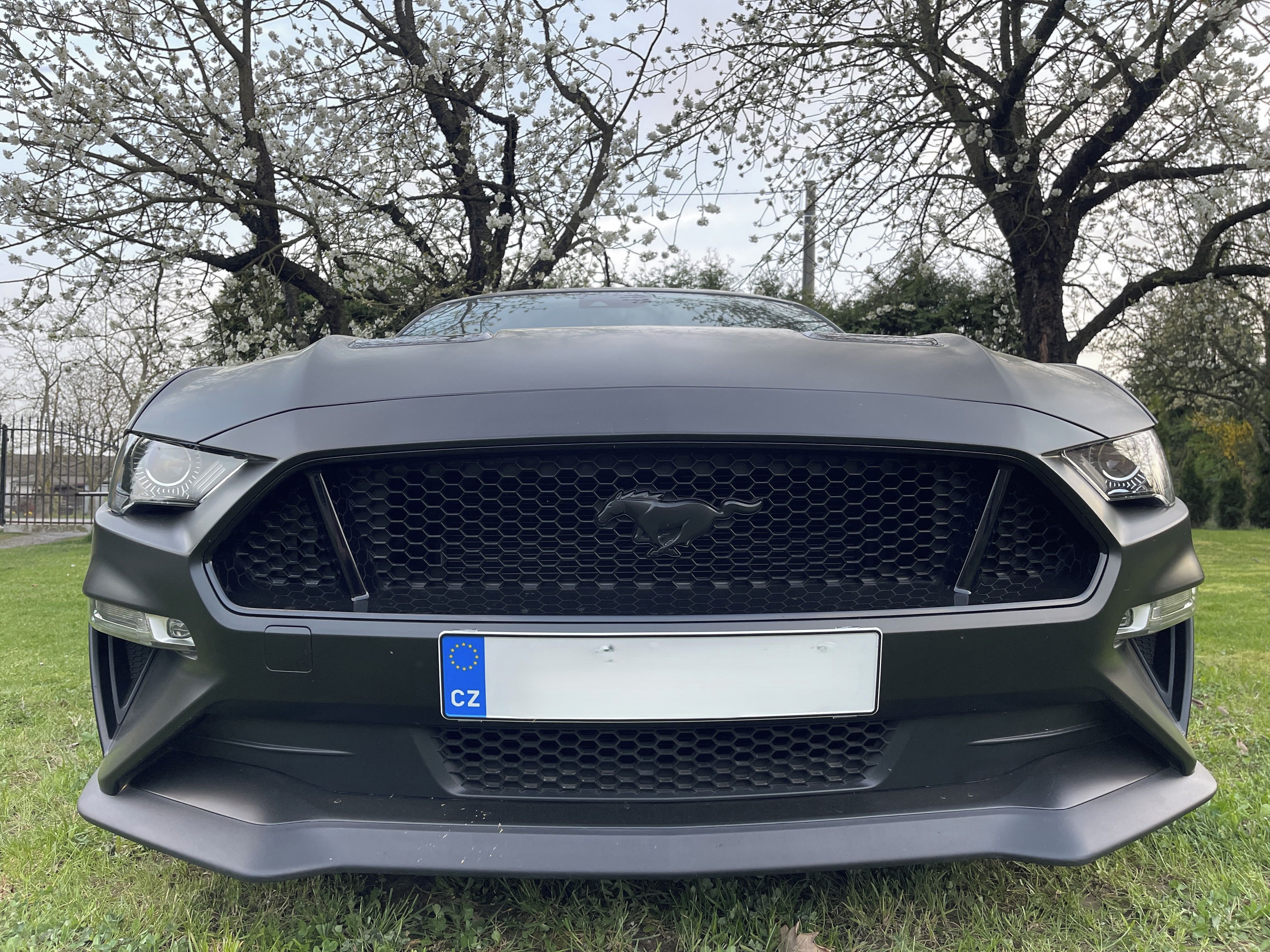 Ford Mustang, 5.0 V8 GT Magneride, EU, DPH - fotka 4