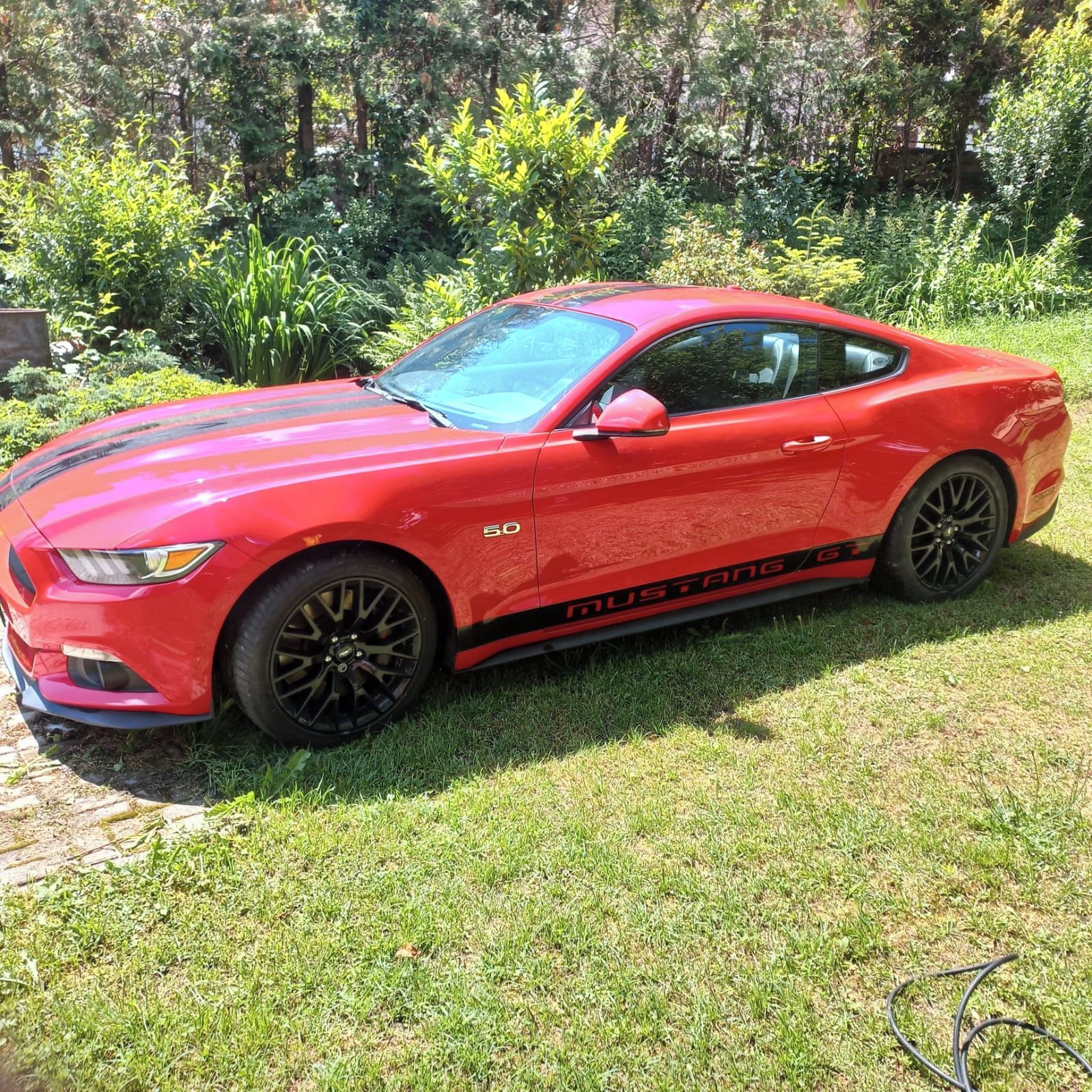 Ford Mustang, Ford Mustang 5.0 - fotka 6