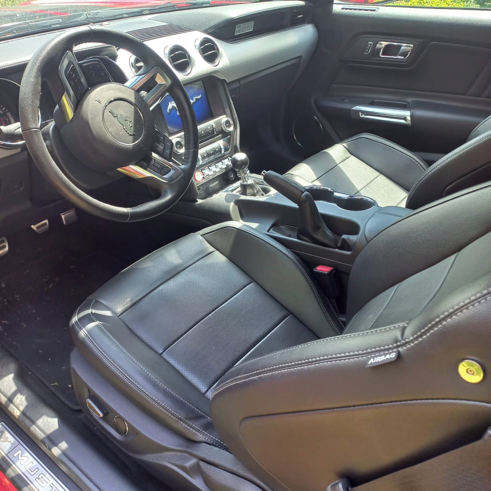 Ford Mustang, Ford Mustang 5.0 - fotka 3