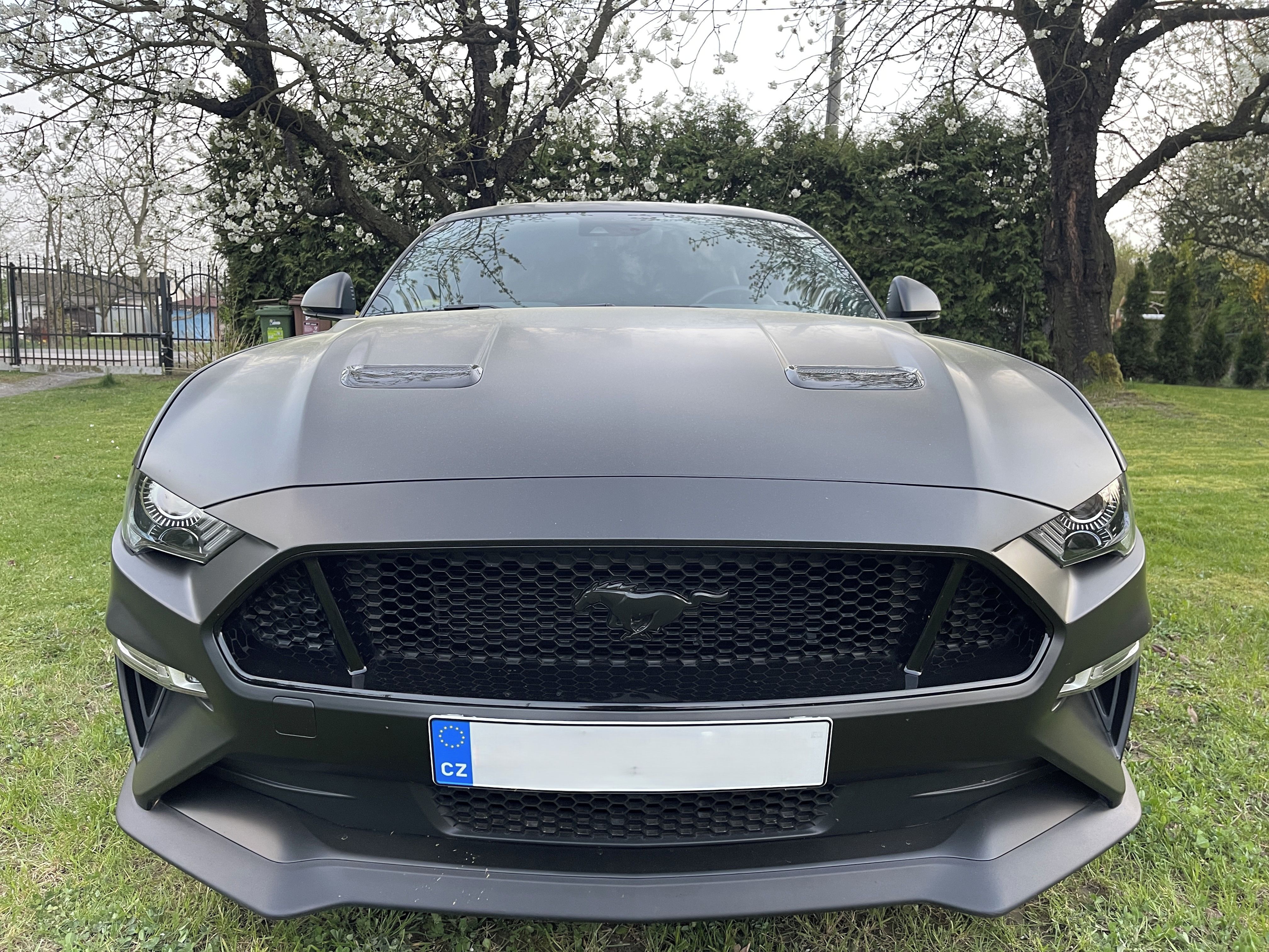 Ford Mustang, 5.0 V8 GT Magneride, EU, DPH - fotka 3