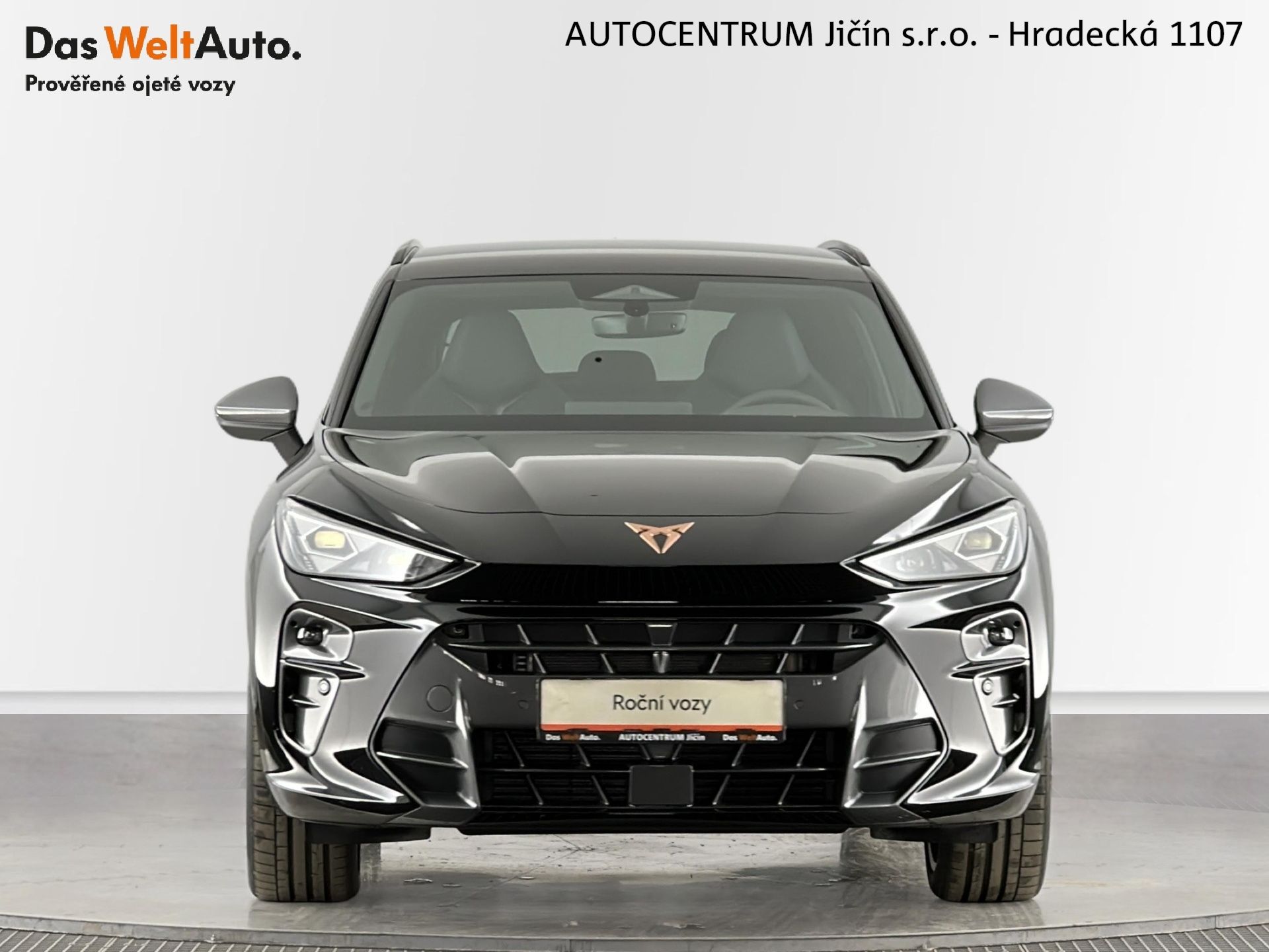 Cupra Terramar, VZ 2.0 TSI 195kW 4x4 DSG - fotka 3