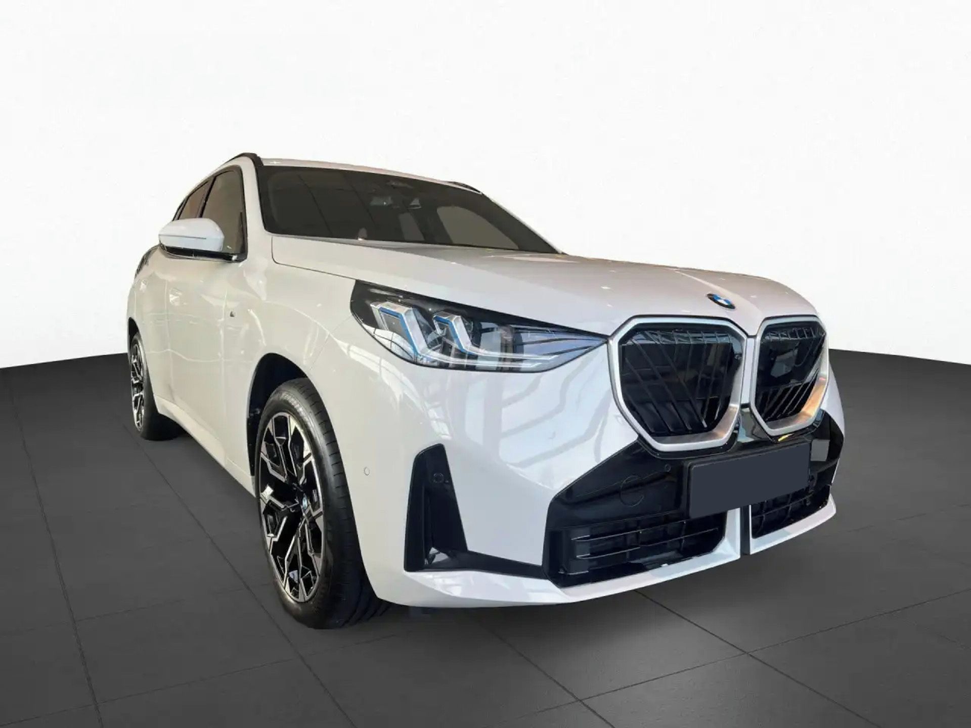 BMW X3, 20 xDrive M-Sport 360 HuD ACC - fotka 2