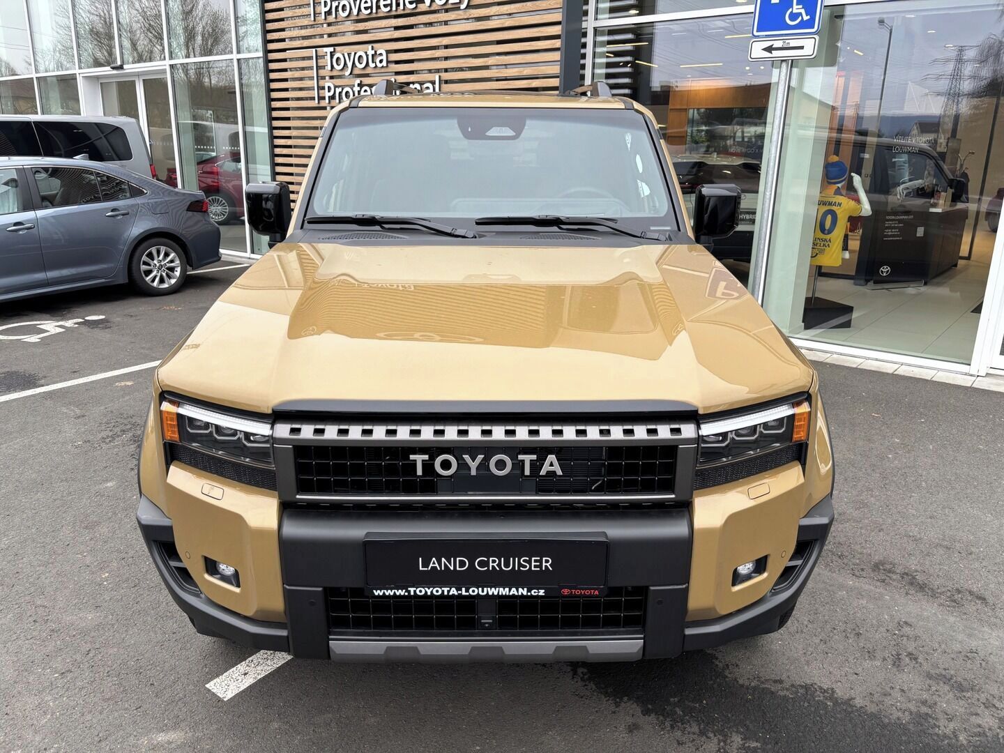 Toyota Land Cruiser, Executive Skyview - fotka 2