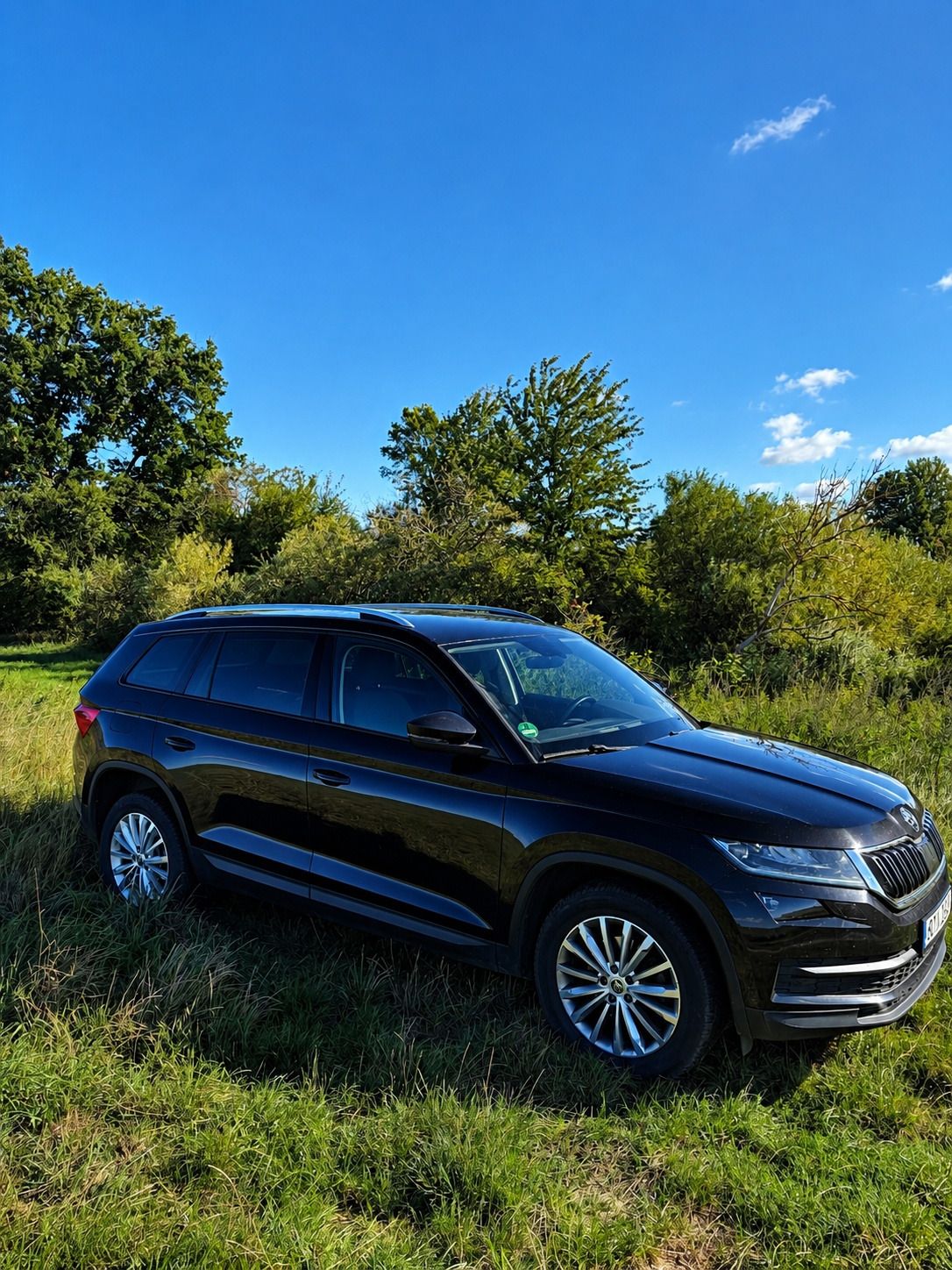 Škoda Kodiaq, 4x4, 110kW, tažné - fotka 2