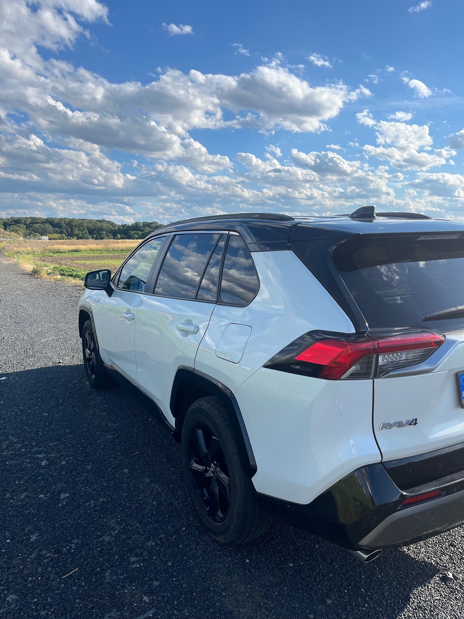 Toyota Rav4, Toyota RAV4 2.5 Hybrid 4x4 - fotka 6