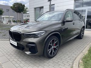 BMW X5, X5 30d xDrive,Mpaket,BPS